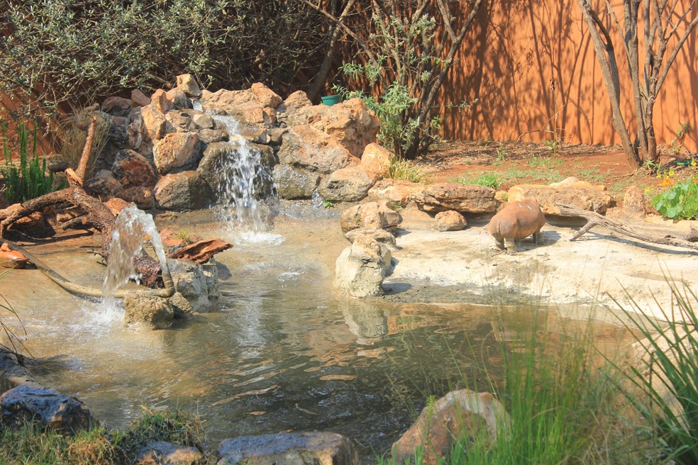 Gardening in Africa Cleaning the wildlife pond