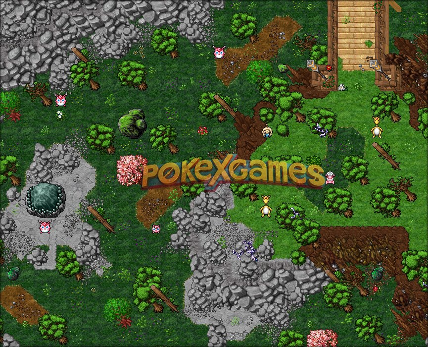 Illusion Quest - PokeXGames