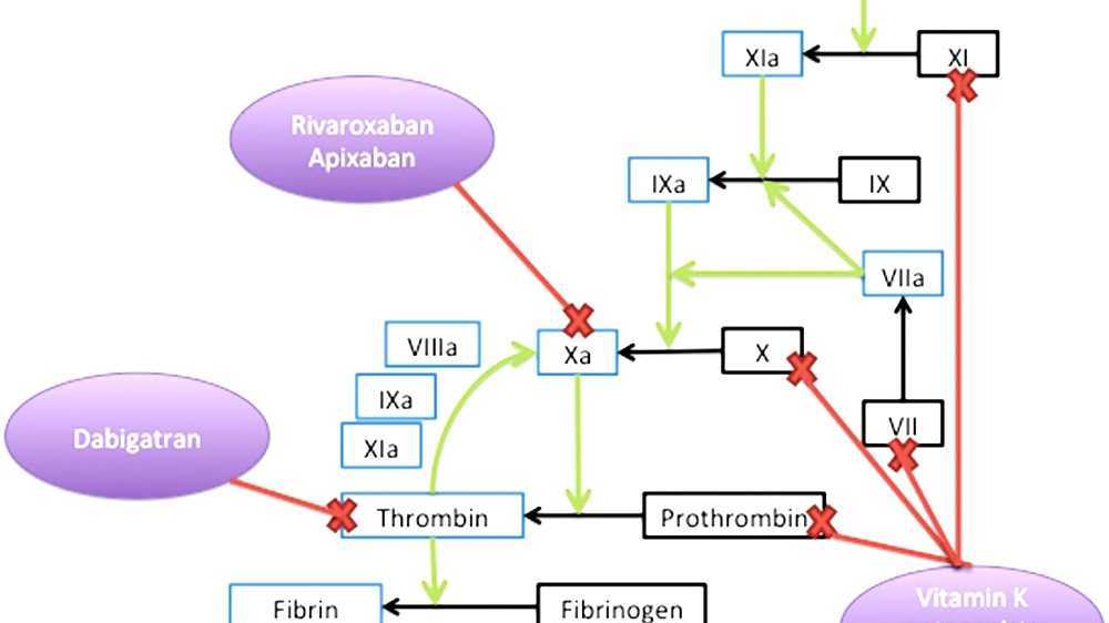 Vitamin K antagonist