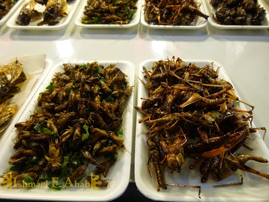 Yummy bugs from North Thailand