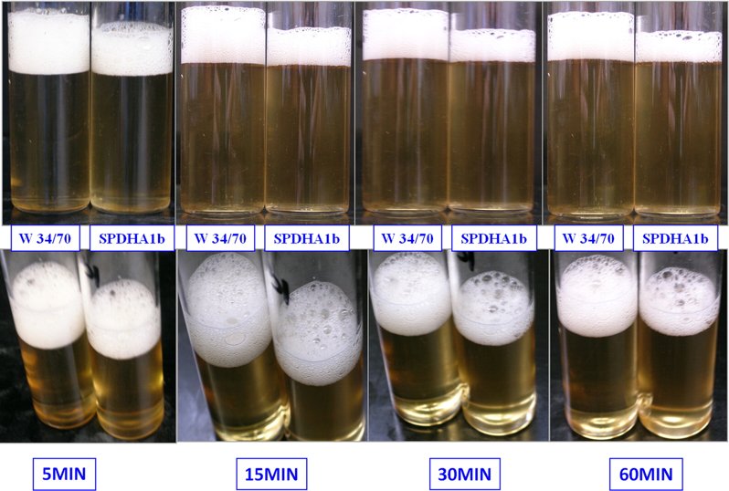 Sui Generis Brewing The of Beer Foam