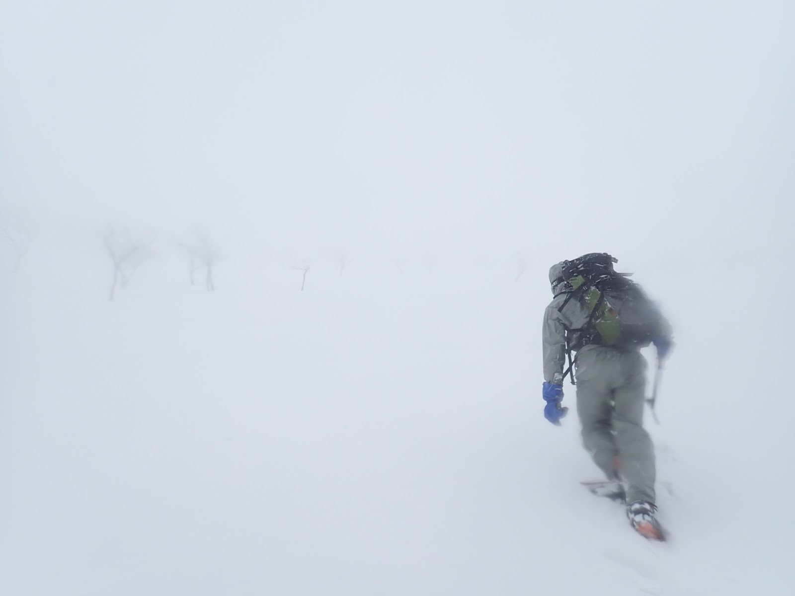 雪山 冬の伊吹山 正面登山道ピストン 初めて死を意識した超急登 猛吹雪の山行 とざんツーリズム