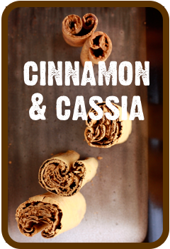 what is the difference between cinnamon and cassia? season with spice