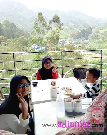 Merehatkan Minda Di Sungei Palas Tea Centre Cameron Highlands Sekali Lagi