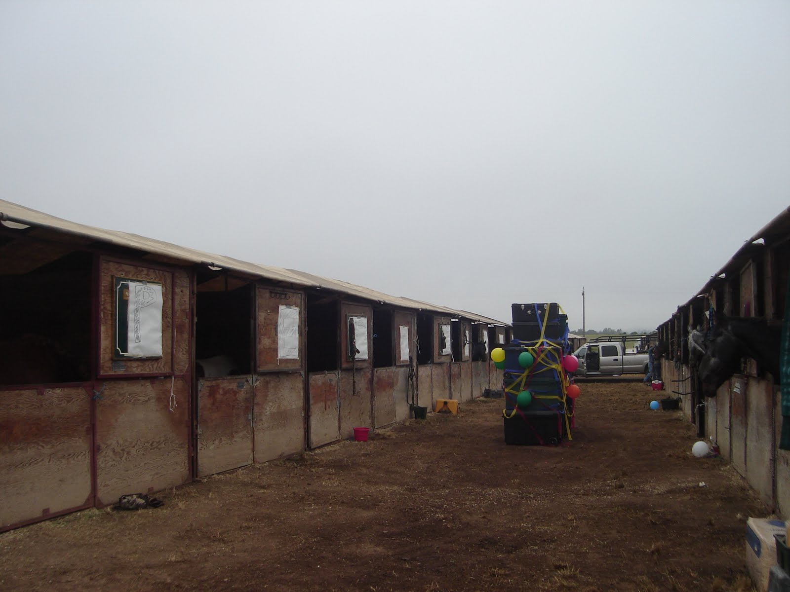 Eventing With A Twist Show Jump Day at Shepherd Ranch