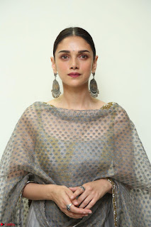 Aditi Rao Hydari looks Beautiful in Sleeveless Backless Salwar Suit 007