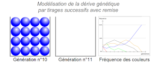TÉLÉCHARGER LE LOGICIEL EVOLUTION ALLELIQUE LE EVOLUTION ALLELIQUE LOGICIEL TÉLÉCHARGER