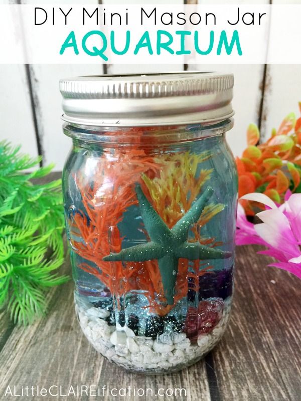 Mini Mason Jar Aquariums | Summer In Jars Series