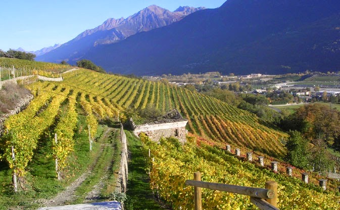 Grosjean winery Valle d'Aosta