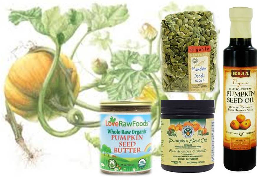 Foods That Help Your Dog, Cat Naturally Repel, Eliminate Infestations