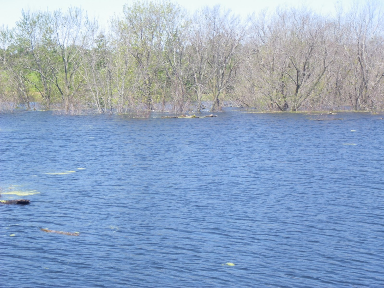 The Lost Grove Lake Mapping Project 2015