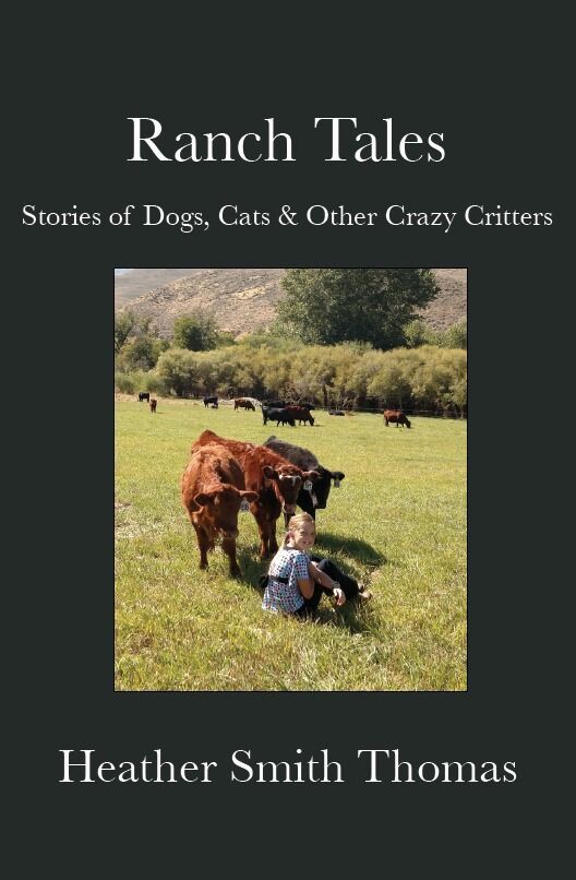 heather smith thomas diary from sky range ranch october barnes and noble open on christmas