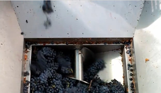Maquina desengaçadeira-esmagadeira maquina desengaçadeira esmagadeira uva produçao vinho
