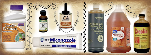 Antifungal ingredients for horse coat, skin, mane and tail as well as hooves.