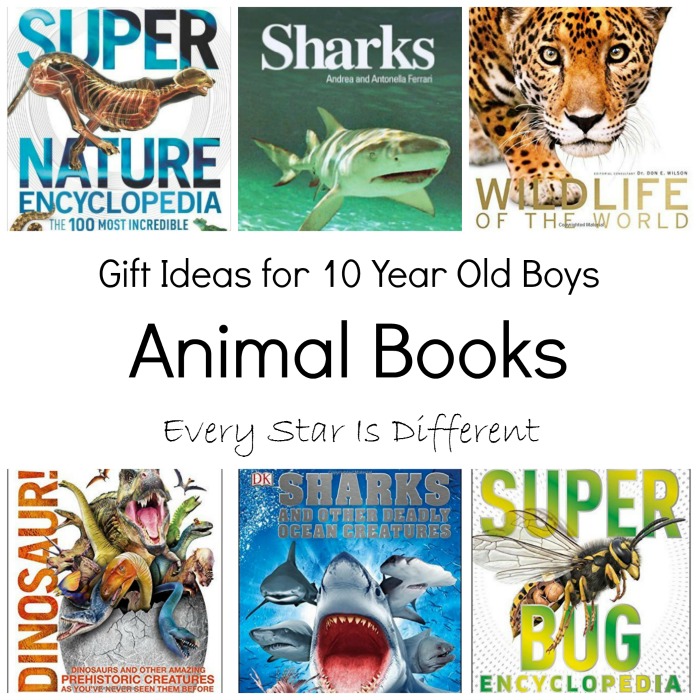Gift Ideas for 10 Year Old Boys Every Star Is Different
