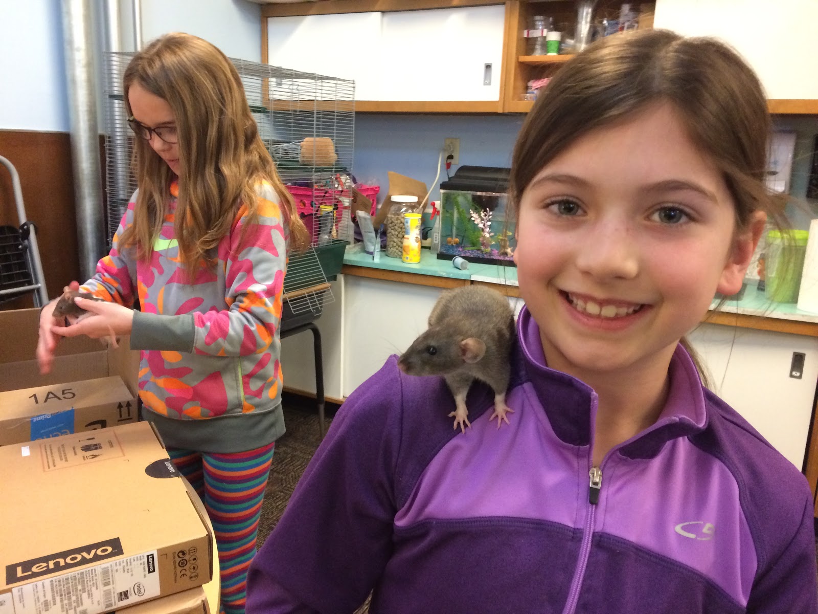 Six Impossible Things Before Breakfast (Teaching Under the Big Sky