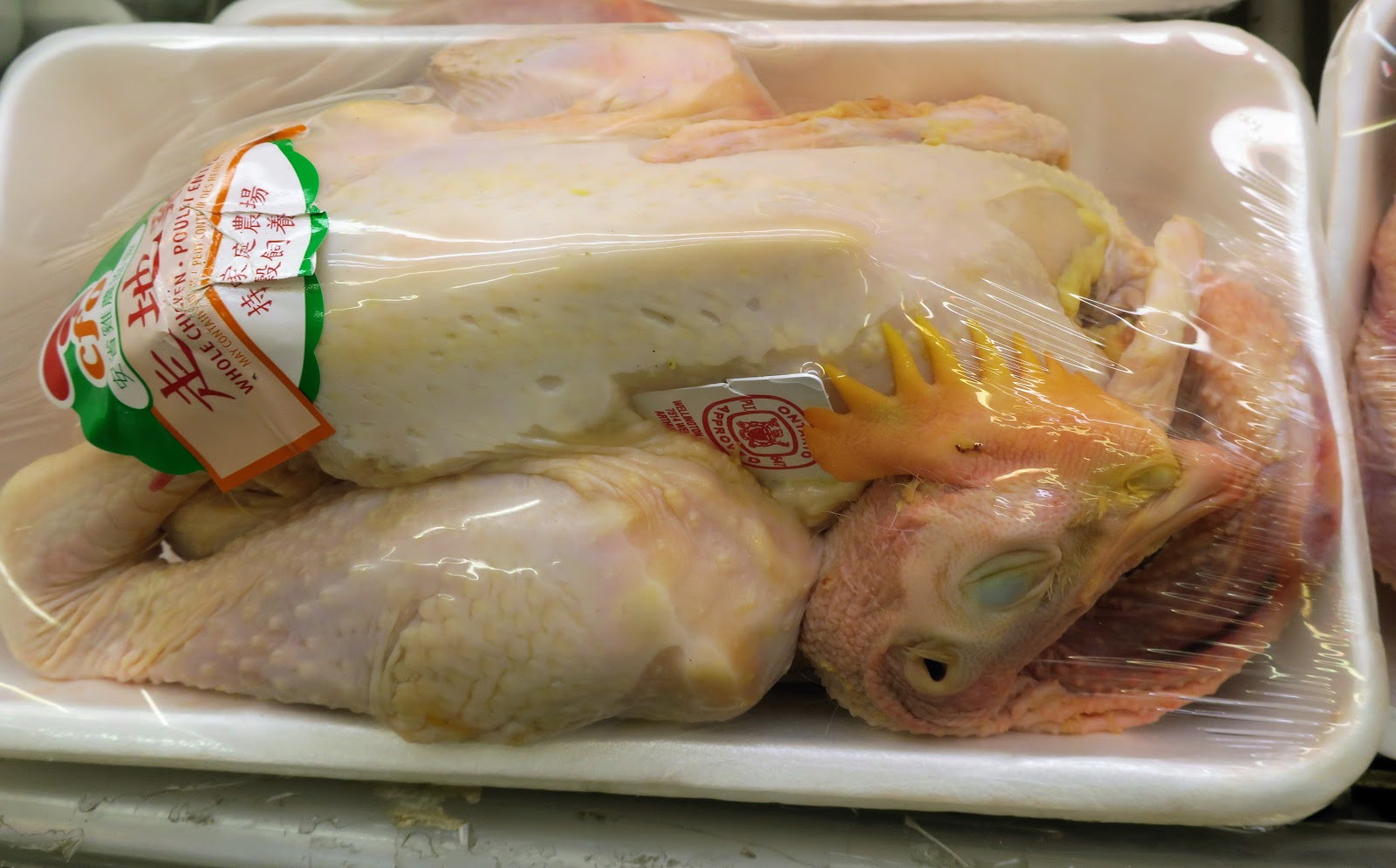 Living Rootless Toronto Chickens