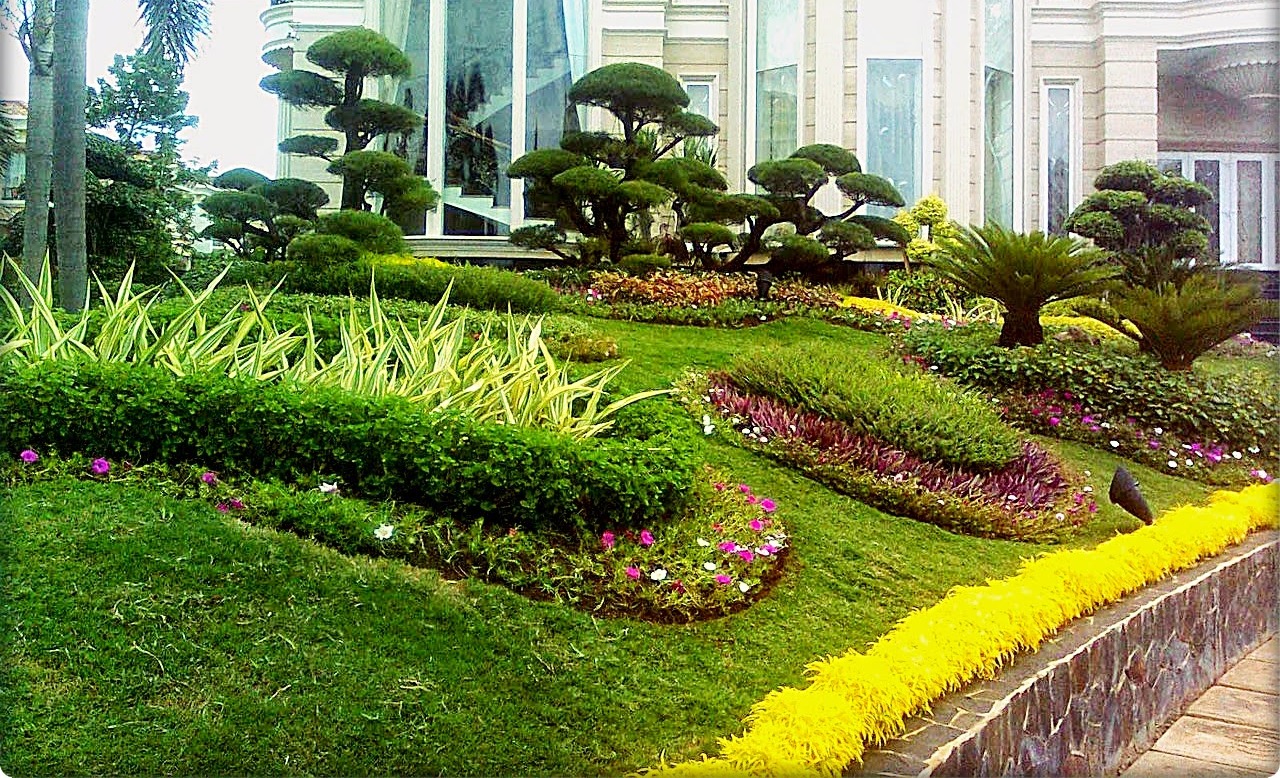 TUKANG TAMAN GRESIK TUKANG TAMAN SURABAYA PUTRA LANDSCAPE GROUP TUKANG TAMAN GRESIK TUKANG TAMAN SURABAYA PUTRA LANDSCAPE GROUP