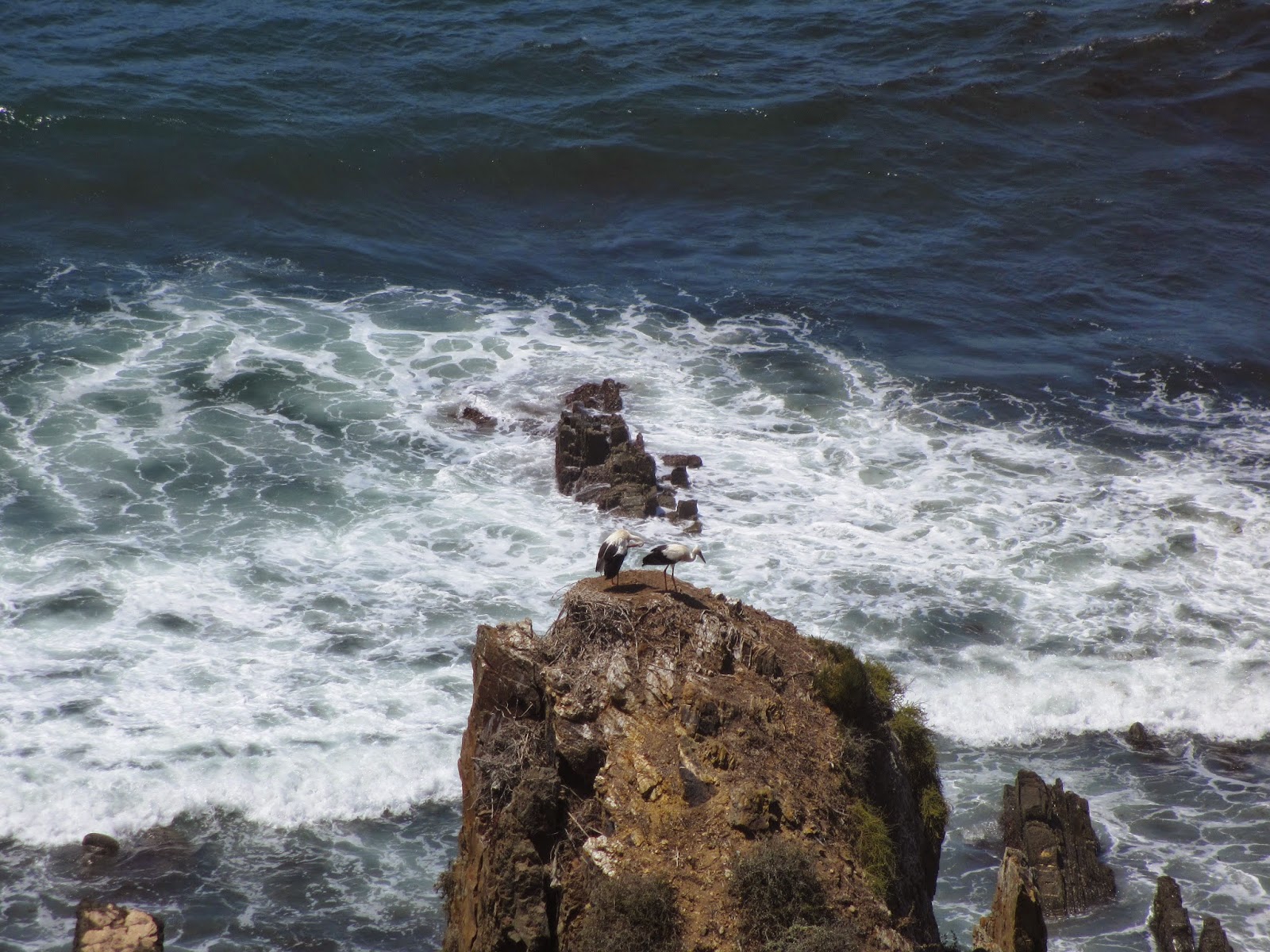 Na Rota Vicentina, o Trilho dos Pescadores entre a Zambujeira do Mar e Odeceixe | Portugal