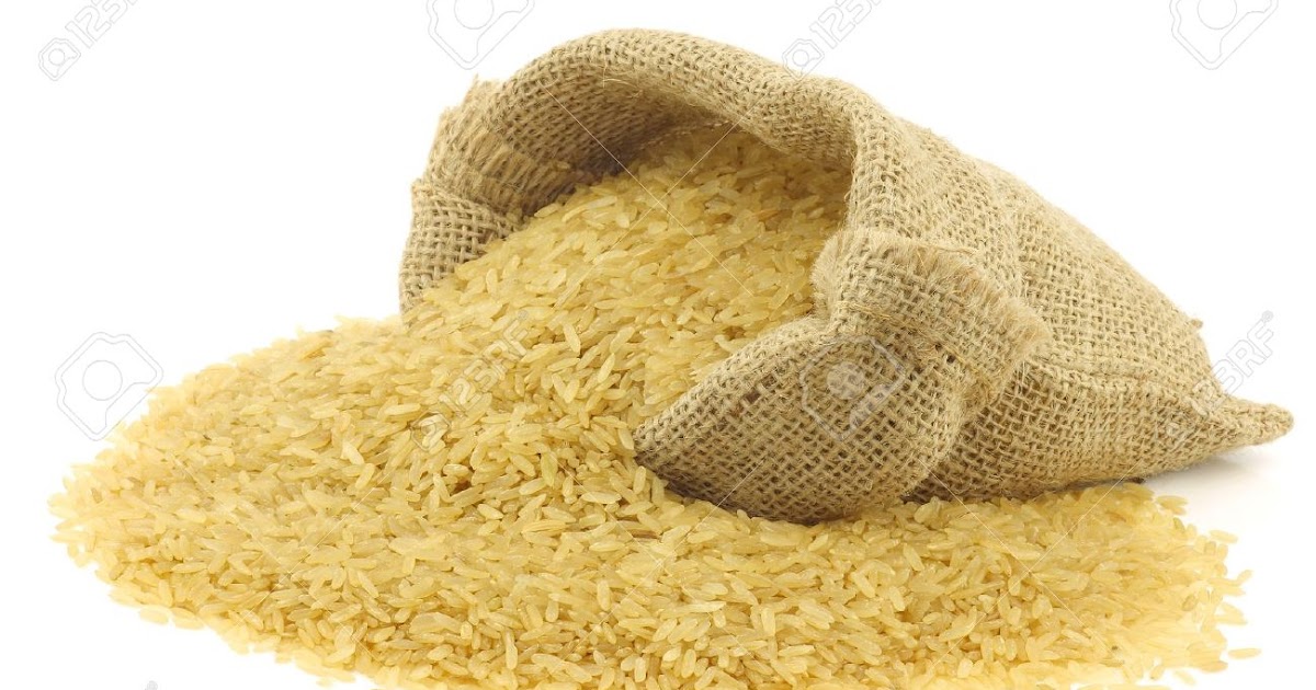 Africa’s largest rice mill opens in Nigeria Nigerian News, Latest