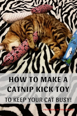 bengal cat with homemade kick toy