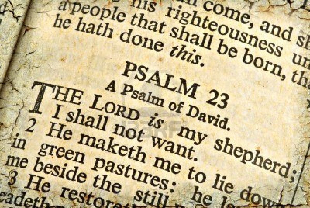 King David Quotes Psalms QuotesGram