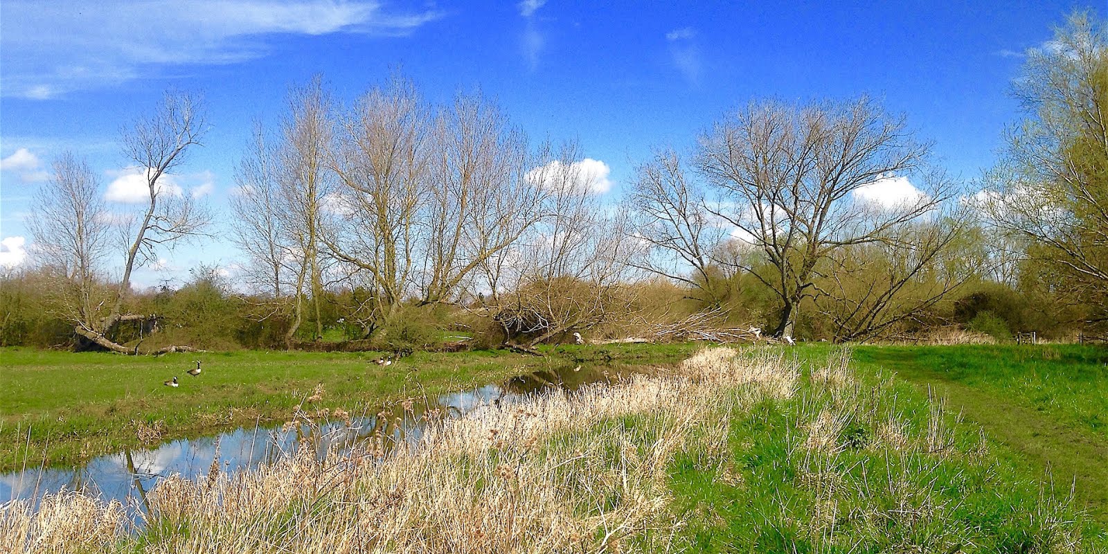 Houghton to Godmanchester Nature Reserve