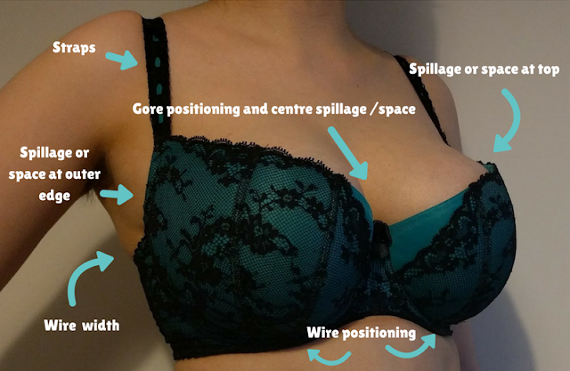A diagonally framed image of someone wearing a bra, labelled with the fit aspects visible at this angle.