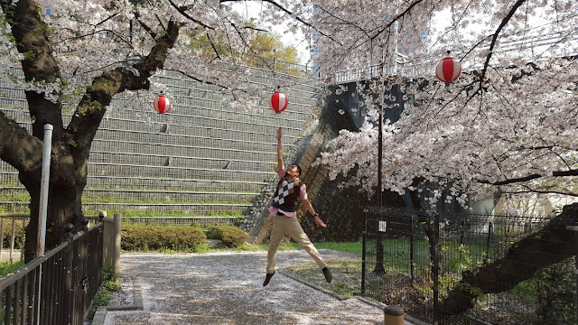 4 musim di Jepang 4 musim di Jepang