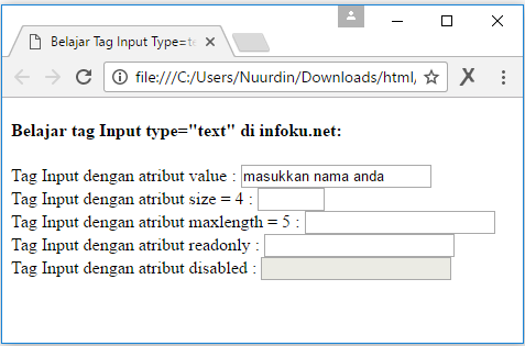 Form input type text