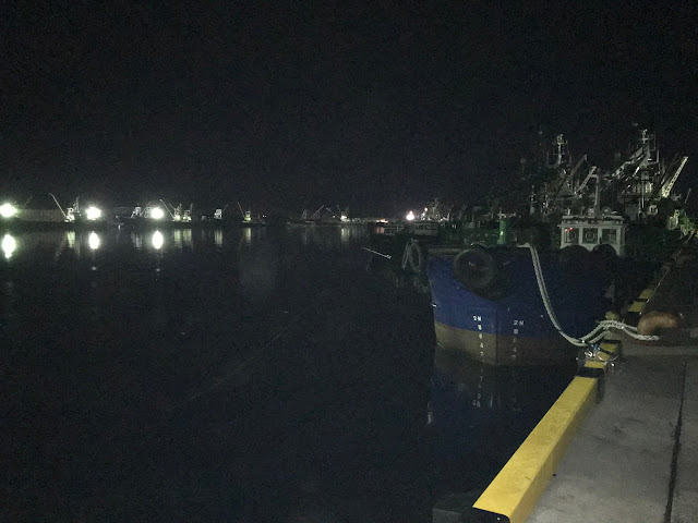 18年6月某日 茨城県で波崎新港で夜釣り 朝に小サバの魚群が襲来 Live My Life