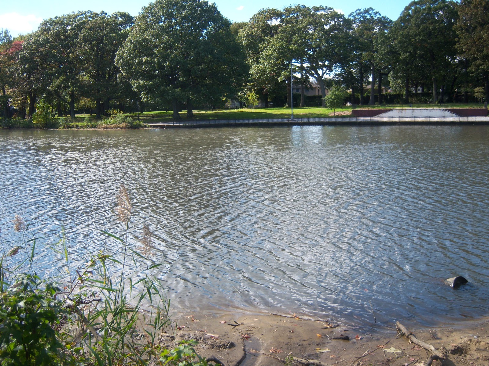 Long Distance Voyager Bridge of the Week 8287 Brookville Park