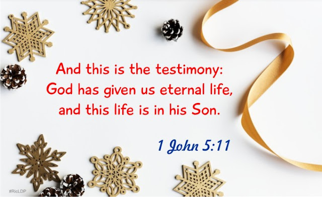 1 John 5:11 picture Bible verse