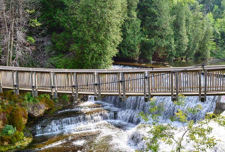 Erin Insight Fighting to preserve Belfountain's character