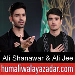 http://www.molahussainwala.com/2018/09/ali-shanawar-ali-jee-nohay-2019.html