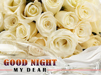 good night wallpaper, white rose photo along good night written message