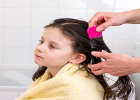 Hair treatment for lice. Hair treatment for lice.