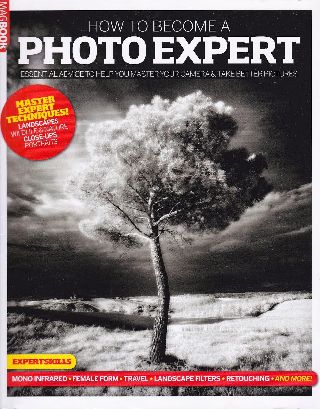 Photography: How To Become A Photo Expert 