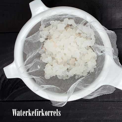kefir kopen antwerpen