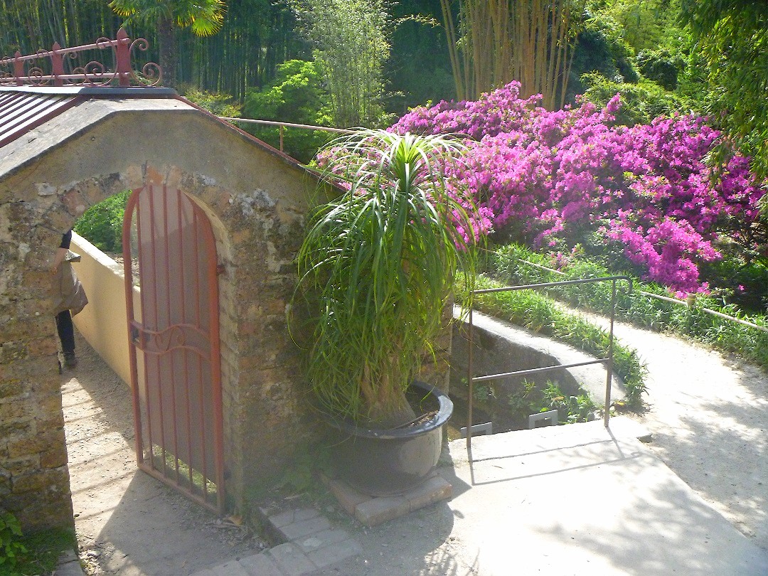 HABLEMOS DE JARDINES