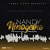 DOWNLOAD: Nandy - NINOGESHE (mp3)