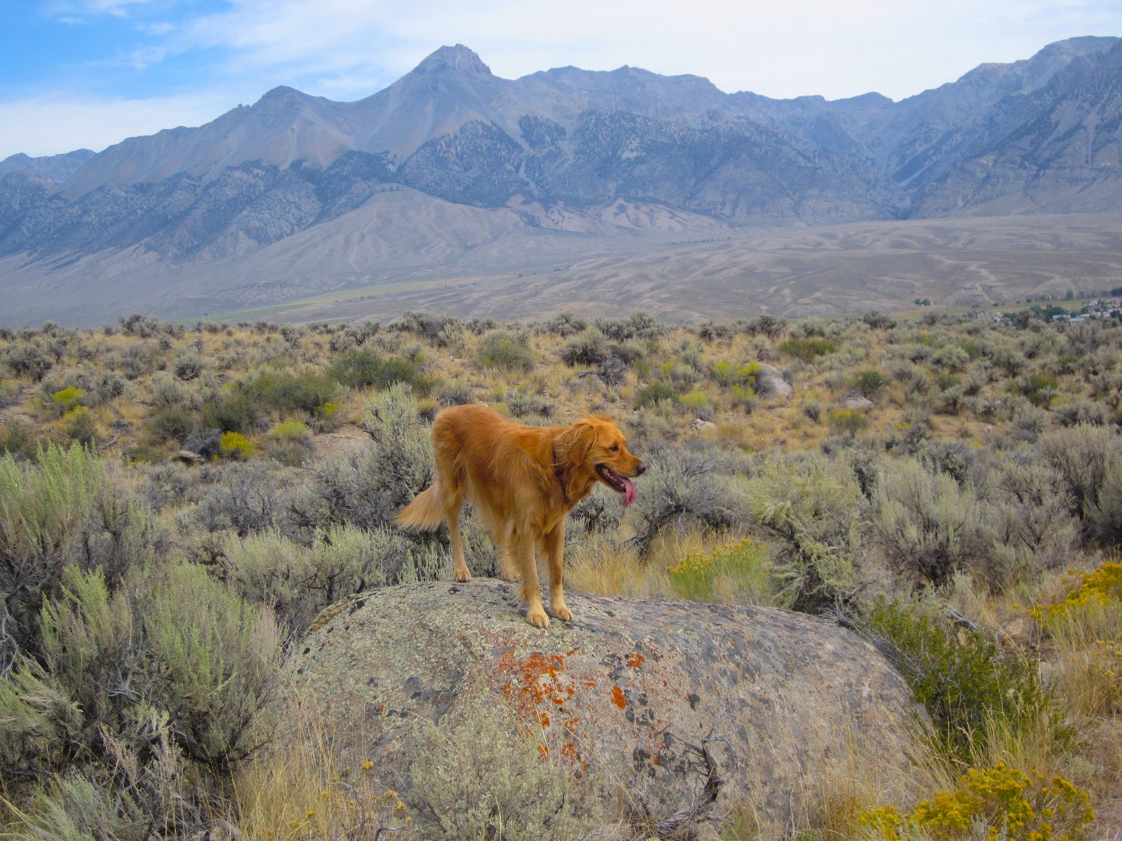 Mackay, Idaho 83251 Air Quality in Mackay Improved Today August 31 2012.