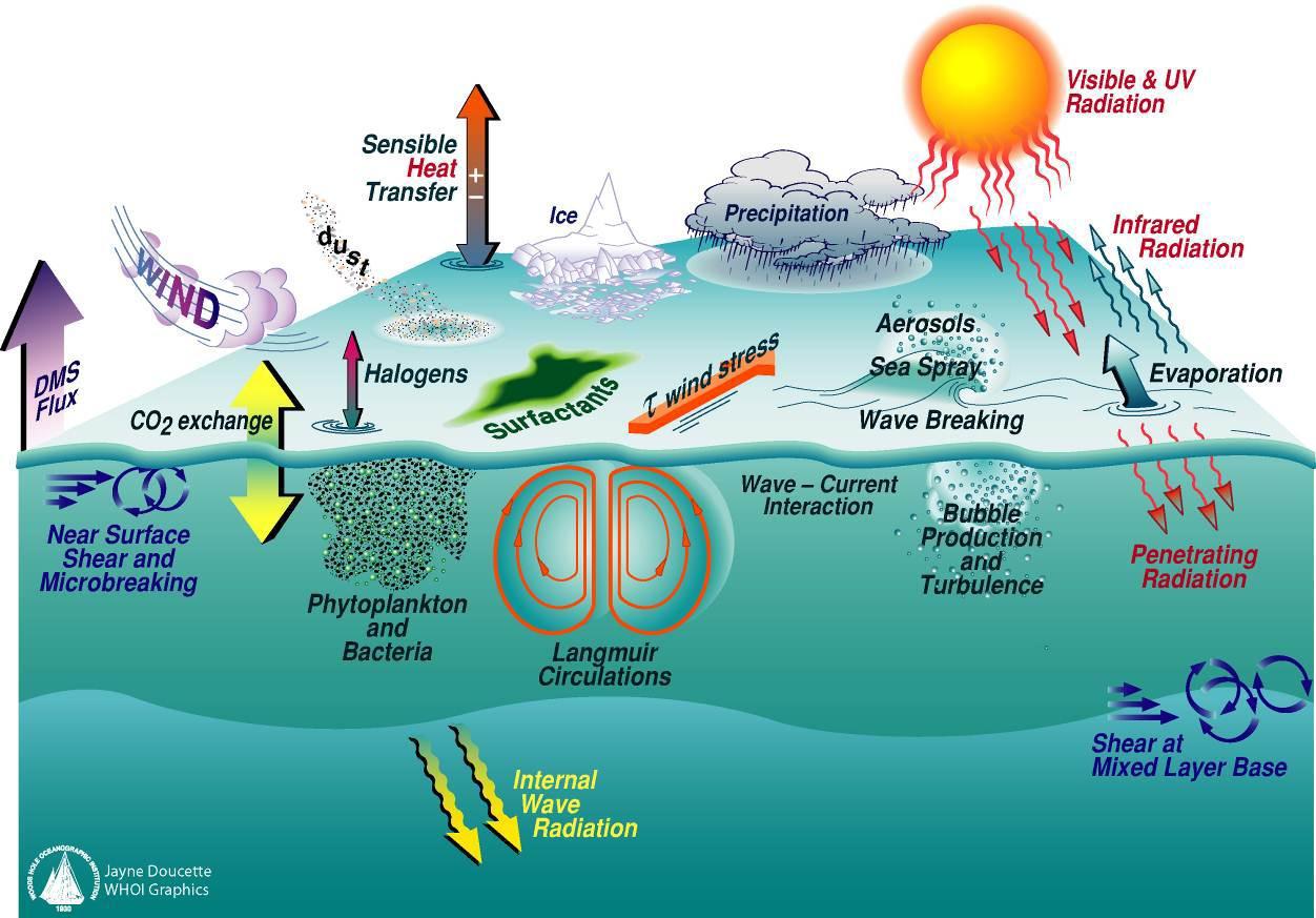 Схема жизнь в океане. Взаимодействие океана с атмосферой и сушей. Примеры взаимодействия океана и атмосферы. Влагообмен в системе океан-атмосфера. Вихри в атмосфере и океане.