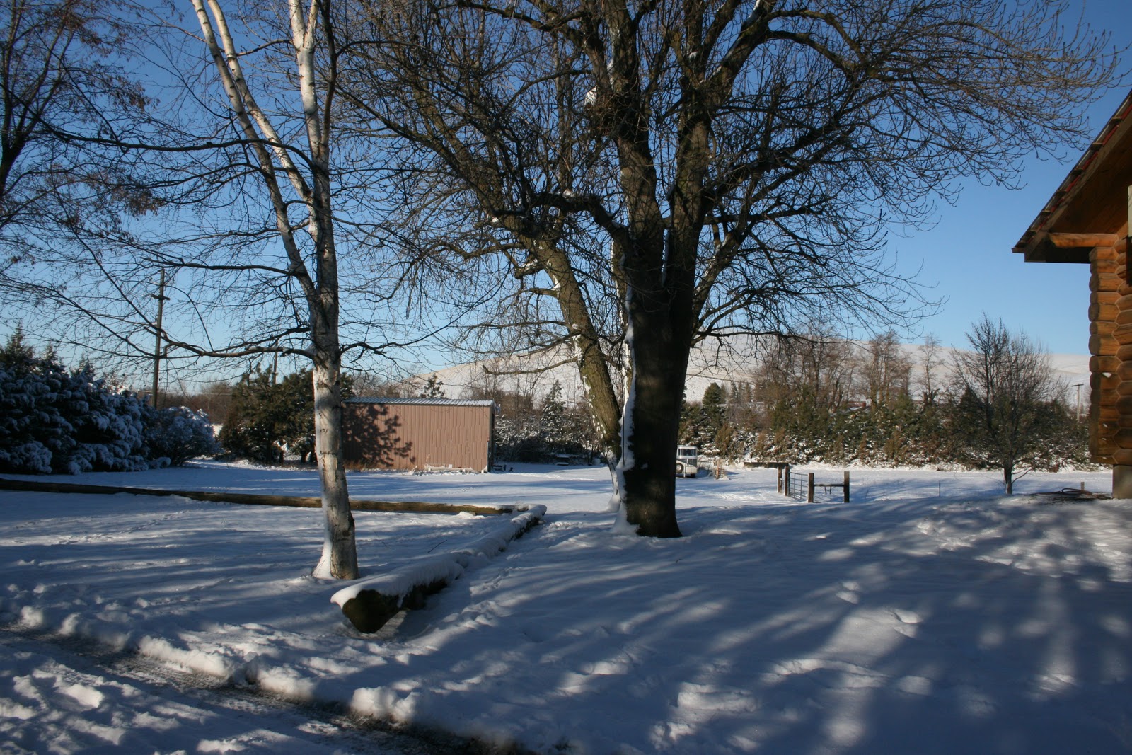 Log Home For Sale Dayton, Washington Dayton Log Home (Wintertime