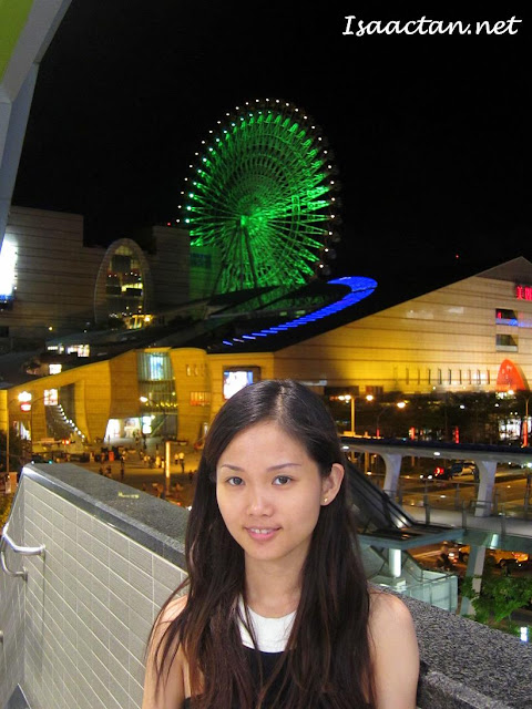 Miramar Ferris Wheel Taiwan
