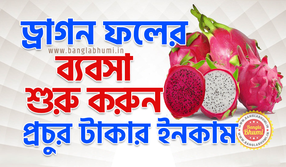 Dragon Fruit Farming Business in West Bengal