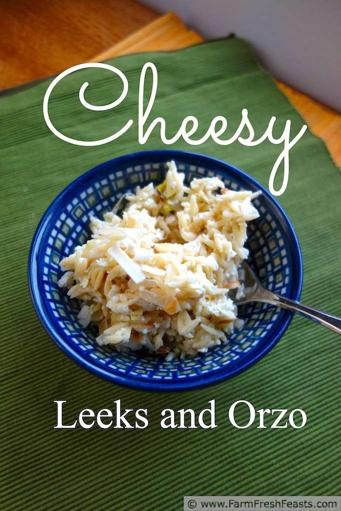 Cheesy Leeks and Orzo | Farm Fresh Feasts