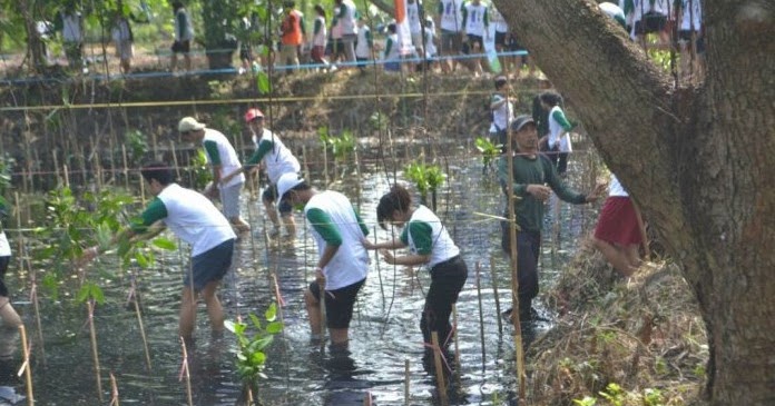 Pengetan Hari Pohon Nasional, 5.000 Wit Ditandur Ing Alas