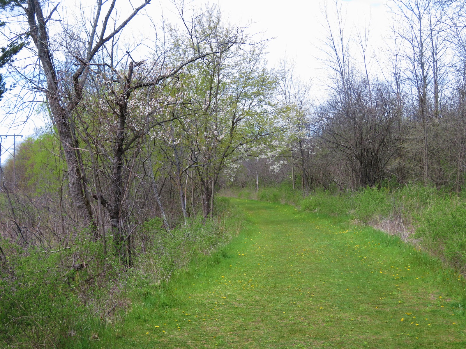 Hiking Walking in the Woods MONTEZUMA HERITAGE PARK