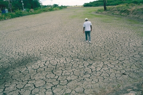  SEQUÍA: Banilejos pierden la esperanza 